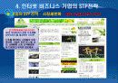 인터넷 마케팅의 전략수립 33페이지