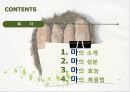 마(건강식품) 2페이지