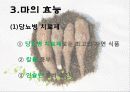 마(건강식품) 8페이지