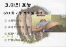 마(건강식품) 9페이지