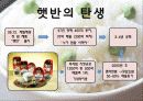 햇반(즉석밥시장) 5페이지