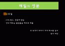 메밀(Buckwheat) 8페이지