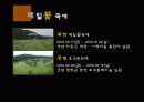 메밀(Buckwheat) 19페이지