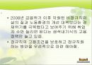 비정규직의 개념, 원인, 관계법률, 비정규직 보호법 문제점, 해결방안, 제도적 대안[A+ 평가 레포트★★★★★] 8페이지