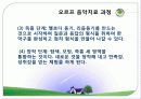 음악치료의 기원, 접근법, 오르프의 음악치료, 노드르,로빈스의 음악치료 분석[A+ 추천 레포트★★★★★] 10페이지