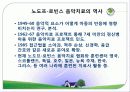 음악치료의 기원, 접근법, 오르프의 음악치료, 노드르,로빈스의 음악치료 분석[A+ 추천 레포트★★★★★] 12페이지