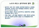 음악치료의 기원, 접근법, 오르프의 음악치료, 노드르,로빈스의 음악치료 분석[A+ 추천 레포트★★★★★] 14페이지
