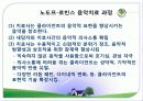 음악치료의 기원, 접근법, 오르프의 음악치료, 노드르,로빈스의 음악치료 분석[A+ 추천 레포트★★★★★] 16페이지