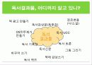 중고등학생의 독후감, 독서결과물에 대한 지도방법 및 독서교육 증진방안[A+ 평가 레포트★★★★★] 2페이지