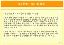 기러기 아빠, 기러기 가족의 현황과 조기유학의 허와 실 및 개선방안[A+ 평가 레포트★★★★★] 19페이지
