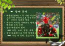 교육 현장에서의 배려의 필요성과 사례 및 교육 현장에서의 배려 증대방안 [A+ 평가 레포트] 23페이지