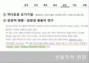 Behavior Therapy(체육과학)의 기원, 특징, 방법, 공헌점, 의의등등[A+ 평가 레포트★★★★★] 23페이지