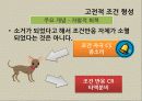 [행동주의] 행동주의의 역사, 주요 개념, 상담과정과 기법, 상담사례 분석[A+ 평가 레포트★★★★★] 10페이지