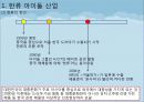 한류 아이돌 스타 산업의 현황과 SWOT, SCP, 사례 및 향후 전망[A+ 평가 레포트★★★★★] 3페이지