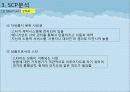 한류 아이돌 스타 산업의 현황과 SWOT, SCP, 사례 및 향후 전망[A+ 평가 레포트★★★★★] 15페이지