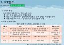한류 아이돌 스타 산업의 현황과 SWOT, SCP, 사례 및 향후 전망[A+ 평가 레포트★★★★★] 17페이지