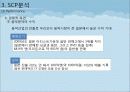 한류 아이돌 스타 산업의 현황과 SWOT, SCP, 사례 및 향후 전망[A+ 평가 레포트★★★★★] 32페이지