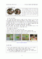 창의성에 대한 교육 33페이지