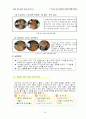 창의성에 대한 교육 41페이지