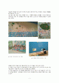 미술관이 아동의 발달에 미치는 영향 3페이지