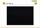 Cement & Admixture - Part 5 4페이지