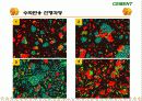 Cement & Admixture - Part 5 24페이지