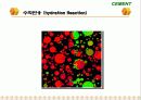 Cement & Admixture - Part 5 26페이지