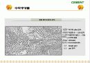 Cement & Admixture - Part 5 28페이지
