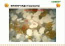 Cement & Admixture - Part 5 30페이지