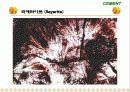 Cement & Admixture - Part 5 34페이지