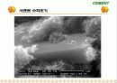 Cement & Admixture - Part 5 42페이지