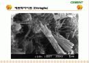 Cement & Admixture - Part 5 44페이지