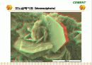 Cement & Admixture - Part 5 45페이지