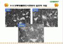 Cement & Admixture - Part 5 55페이지