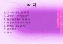 경영판단의 원칙 2페이지