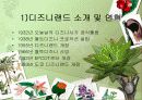 디즈니랜드 vs 에버랜드 4페이지
