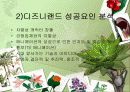 디즈니랜드 vs 에버랜드 6페이지