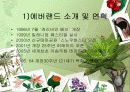디즈니랜드 vs 에버랜드 17페이지