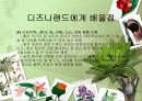 디즈니랜드 vs 에버랜드 32페이지