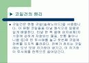 전기기기 실험 코일건 3페이지