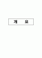 코일건 사전보고서 2페이지