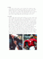 [소비자 행동론] 맨체스터 유나이트 (Manchester United Football Club) 6페이지