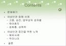 한국사회 직장 내에서의 여성인권의 실태와 문제점 및 여성인권 보호 방안[A+추천 레포트] 2페이지