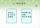 한국사회 직장 내에서의 여성인권의 실태와 문제점 및 여성인권 보호 방안[A+추천 레포트] 10페이지