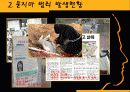 [사회적 문제 요점정리] 묻지마 범죄에 대한 요점정리 보고서[A+추천 레포트★★★★★] 5페이지