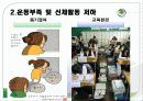 [현대 사회 문제] 청소년 비만의 현황과 문제점 및 비만 해결방안 [A+추천 레포트] 12페이지