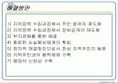 지역 이기주의의 원인과 님비, 핌피현상의 실태 및 대책방안[A+추천 레포트★★★★★] 10페이지