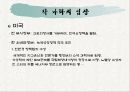 지구 온난화의 원인, 문제점,국제기구, 각 나라의 입장과 전망 및 제언[A+추천 레포트★★★★★] 6페이지