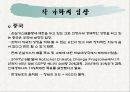 지구 온난화의 원인, 문제점,국제기구, 각 나라의 입장과 전망 및 제언[A+추천 레포트★★★★★] 9페이지