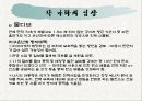 지구 온난화의 원인, 문제점,국제기구, 각 나라의 입장과 전망 및 제언[A+추천 레포트★★★★★] 10페이지